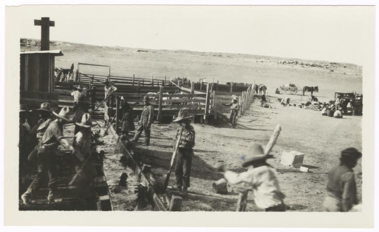 Ranch Workers