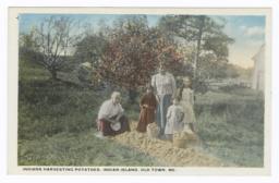Indians Harvesting Potatoes, Indian Island, Old Town, Maine