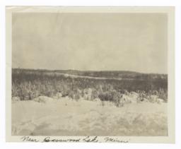 Landscape with Snow, near Basswood Lake, Minnesota