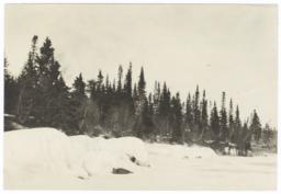 Winter Landscape with Trees, between Grand Marais and Chippewa Village