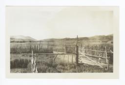 Little Girl on Fence, Reese River Project