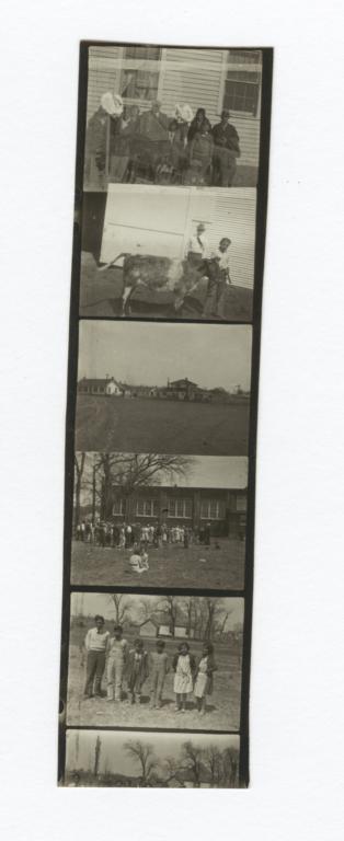 Contact Strip of 5 Images of People, Houses or Farm Animals