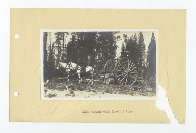 Slip Tongue Wheels with a Load of Logs, Oregon