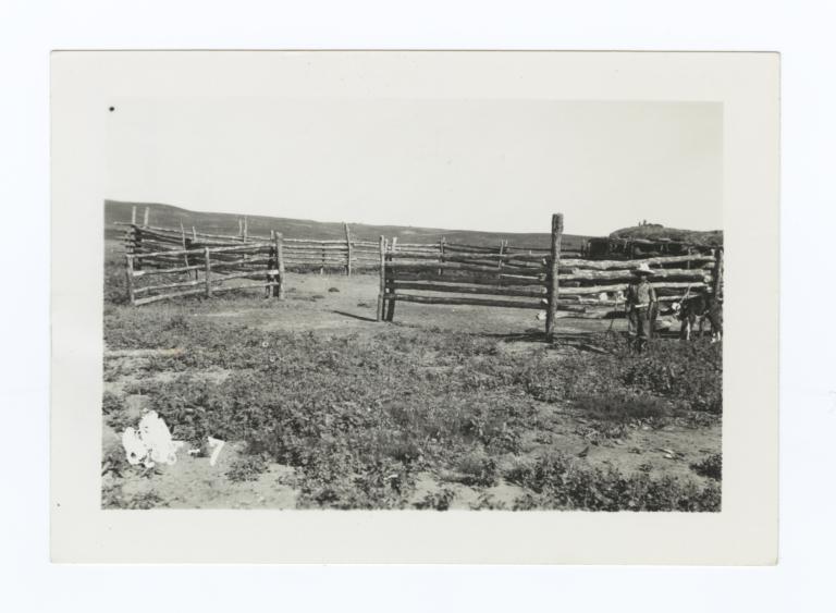 Ranch Corral with People and a Calf off to the Right, Rosebud Reservation, South Dakota