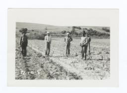 Garden Members in the Fields, Rosebud Reservation, South Dakota