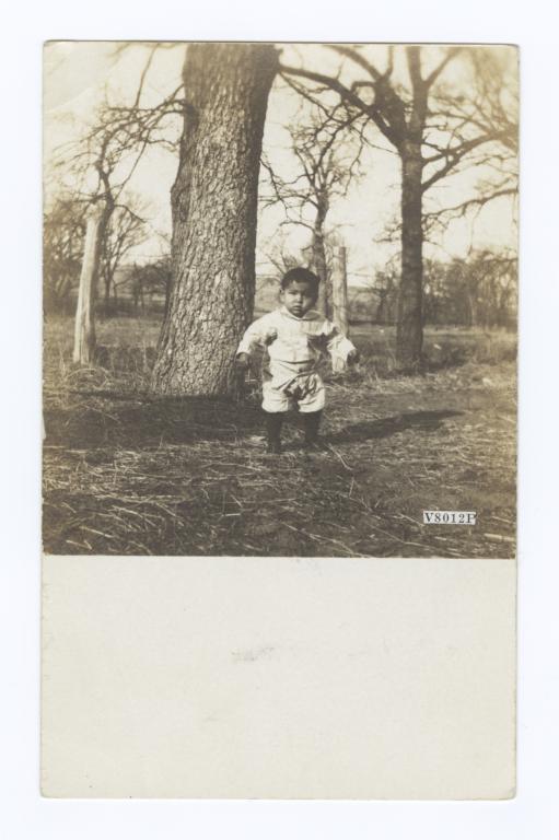 Young Boy near an Oak Tree