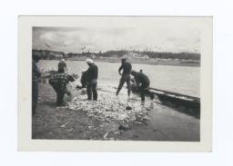Quilyute Indians Smelt Fishing, Puget Sound, Washington