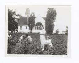 Woman Standing in the Midst of the Harvesting of the “Lord’s Acre”, Oneida Methodist Mission