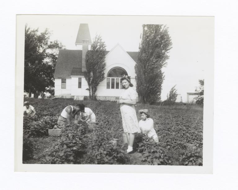 Woman Standing in the Midst of the Harvesting of the “Lord’s Acre”, Oneida Methodist Mission