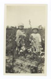 Very Small American Indian Boy and Girl in a Cotton Field