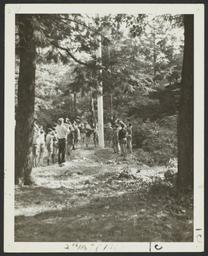 Boys Hanging Flag in the Woods
