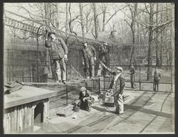Men Painting Fence at New York Zoological Society