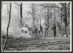 Men Creating Clearing in Woods