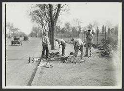Men Digging near Street
