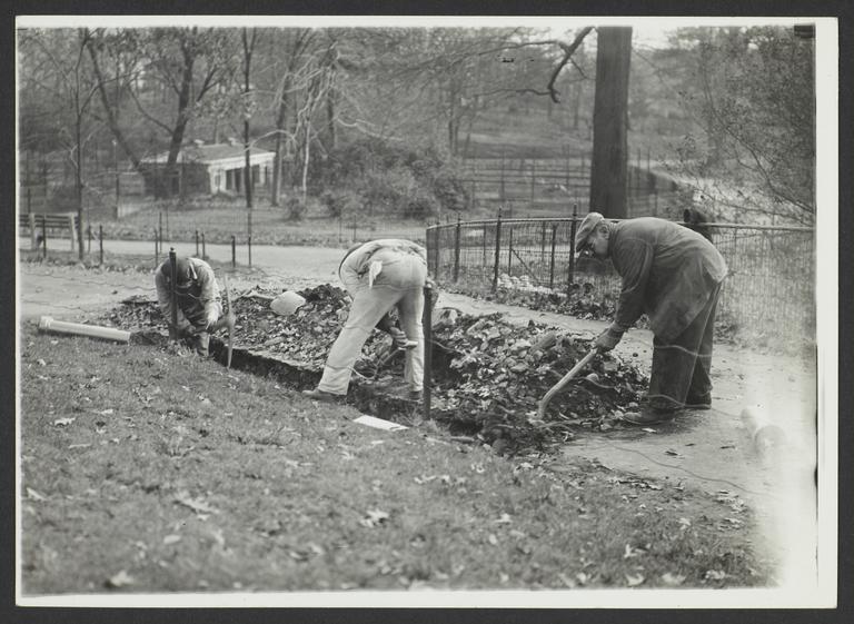 Men Digging near Sidewalk