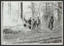 Men Burning Tree Limbs
